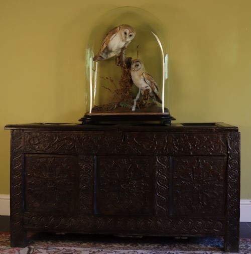 VICTORIAN TAXIDERMY PAIR OF BARN OWLS WITH PREY IN THE MANNER OF SHAW OF SHREWSBURY - ADDITIONAL PHOTO 1