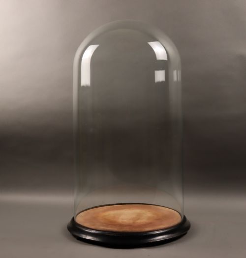 large victorian glass dome - CATEGORY: ANTIQUE MISCELLANEOUS - DATED VICTORIAN