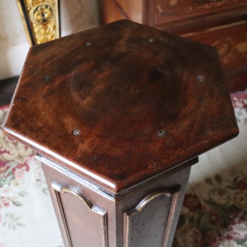 A 19TH CENTURY MAHOGANY AND GRAIN PAINTED PINE COLUMN - ADDITIONAL PHOTO 1