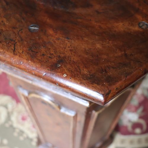 A 19TH CENTURY MAHOGANY AND GRAIN PAINTED PINE COLUMN - ADDITIONAL PHOTO 5
