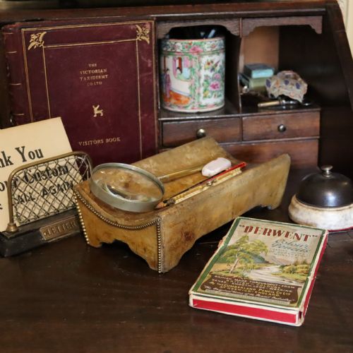 ROWLAND WARD OF LONDON ANIMAL HIDE DESK TIDY CIRCA 1885 - ADDITIONAL PHOTO 3