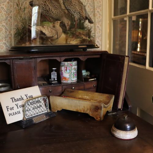 ROWLAND WARD OF LONDON ANIMAL HIDE DESK TIDY CIRCA 1885 - ADDITIONAL PHOTO 4