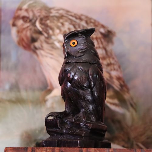 CHARMING LATE 19TH CENTURY BLACK FOREST OWL INK WELL - ADDITIONAL PHOTO 1