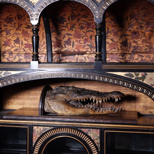 VICTORIAN TAXIDERMY NILE CROCODILE CIRCA 1880 - ADDITIONAL PHOTO 1