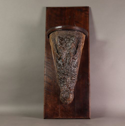VICTORIAN TAXIDERMY NILE CROCODILE CIRCA 1880 - ADDITIONAL PHOTO 3