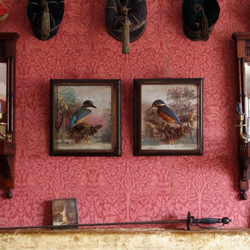 ANTIQUE TAXIDERMY A PAIR OF PICTURE FRAME CASES BY ROWLAND GREEN EACH CONTAINING A KINGFISHER WITH PAINTED SCENIC BACK DROP - ADDITIONAL PHOTO 1