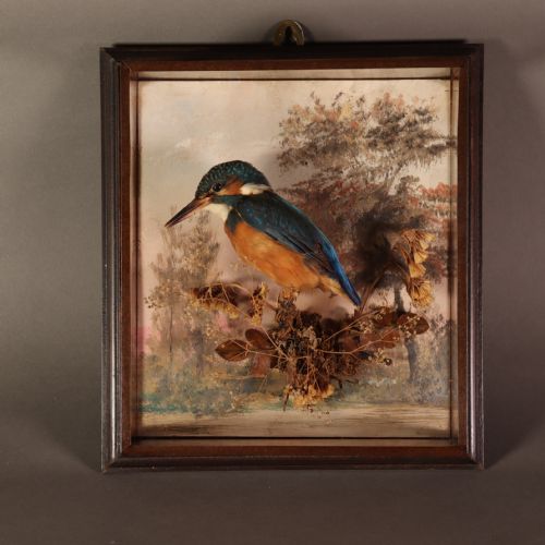 ANTIQUE TAXIDERMY A PAIR OF PICTURE FRAME CASES BY ROWLAND GREEN EACH CONTAINING A KINGFISHER WITH PAINTED SCENIC BACK DROP - ADDITIONAL PHOTO 2