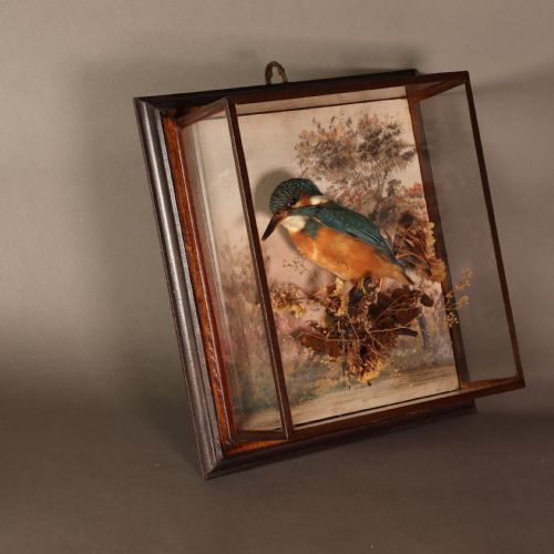 ANTIQUE TAXIDERMY A PAIR OF PICTURE FRAME CASES BY ROWLAND GREEN EACH CONTAINING A KINGFISHER WITH PAINTED SCENIC BACK DROP - ADDITIONAL PHOTO 4