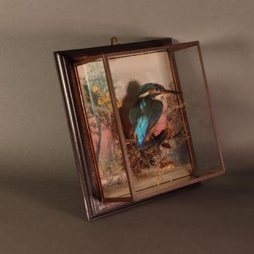 ANTIQUE TAXIDERMY A PAIR OF PICTURE FRAME CASES BY ROWLAND GREEN EACH CONTAINING A KINGFISHER WITH PAINTED SCENIC BACK DROP - ADDITIONAL PHOTO 5