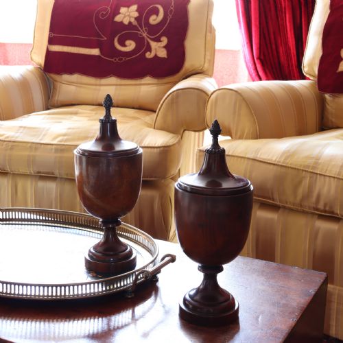TREEN PAIR OF NEO CLASSICAL MID 19TH CENTURY MAHOGANY LIDDED URNS WITH BRASS PINEAPPLE INSPIRED FINIALS - ADDITIONAL PHOTO 2