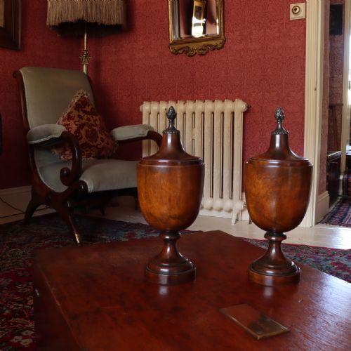 TREEN PAIR OF NEO CLASSICAL MID 19TH CENTURY MAHOGANY LIDDED URNS WITH BRASS PINEAPPLE INSPIRED FINIALS - ADDITIONAL PHOTO 4