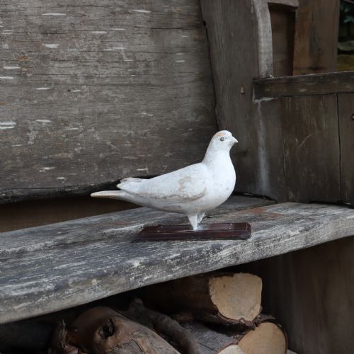 RARE 19TH CENTURY COUNTRY HOUSE DOVECOTE DECOY - ADDITIONAL PHOTO 1