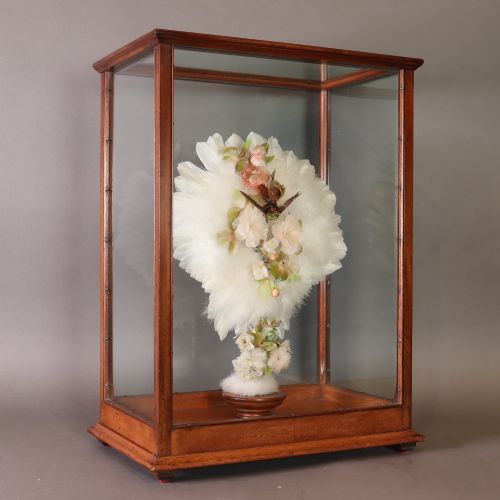 victorian taxidermy a ladys humming bird and feather fan in a museum quality mahogany case - CATEGORY: ANTIQUE MISCELLANEOUS - DATED 1880
