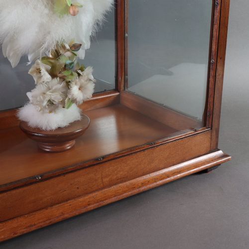 VICTORIAN TAXIDERMY A LADYS HUMMING BIRD AND FEATHER FAN IN A MUSEUM QUALITY MAHOGANY CASE - ADDITIONAL PHOTO 6