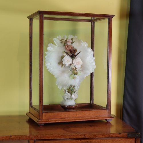 VICTORIAN TAXIDERMY A LADYS HUMMING BIRD AND FEATHER FAN IN A MUSEUM QUALITY MAHOGANY CASE - ADDITIONAL PHOTO 8