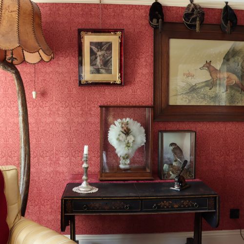 VICTORIAN TAXIDERMY A LADYS HUMMING BIRD AND FEATHER FAN IN A MUSEUM QUALITY MAHOGANY CASE - ADDITIONAL PHOTO 10