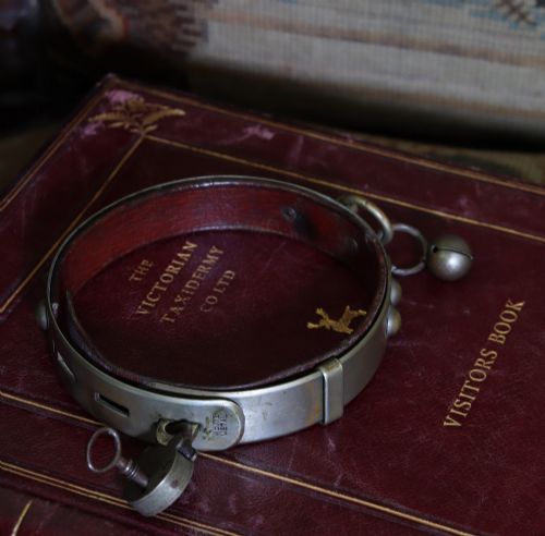EDWARDIAN WHITE METAL DOG COLLAR WITH ORIGINAL PADLOCK BRASS BELL - ADDITIONAL PHOTO 6
