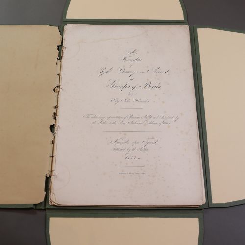 VICTORIAN TAXIDERMY RARE FASCICULUS BY JOHN HANCOCK - ADDITIONAL PHOTO 3