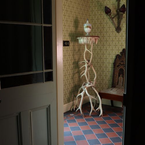 TAXIDERMY ANTLER TORCHIERE - ADDITIONAL PHOTO 1