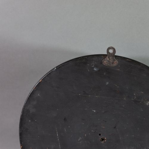 VICTORIAN TAXIDERMY WALL DOME CONTAINING AN AUSTRALIAN MALE REGENT BOWER BIRD - ADDITIONAL PHOTO 3
