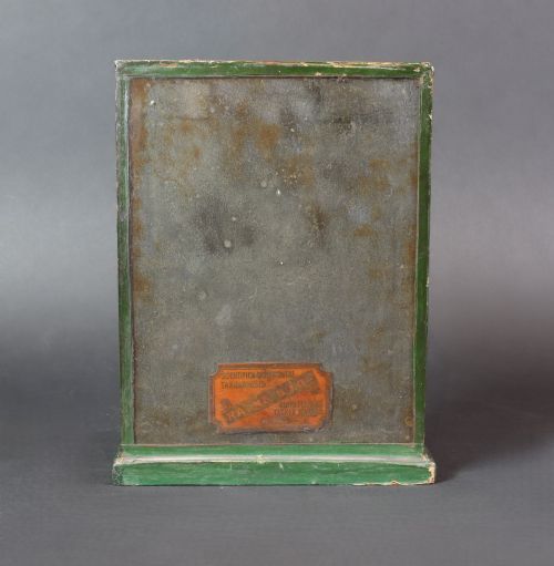 fig 3. A cased taxidermy specimen of a light blue budgerigar perched on a branch surrounded by dried grass within a dark green glass-fronted wooden box.
