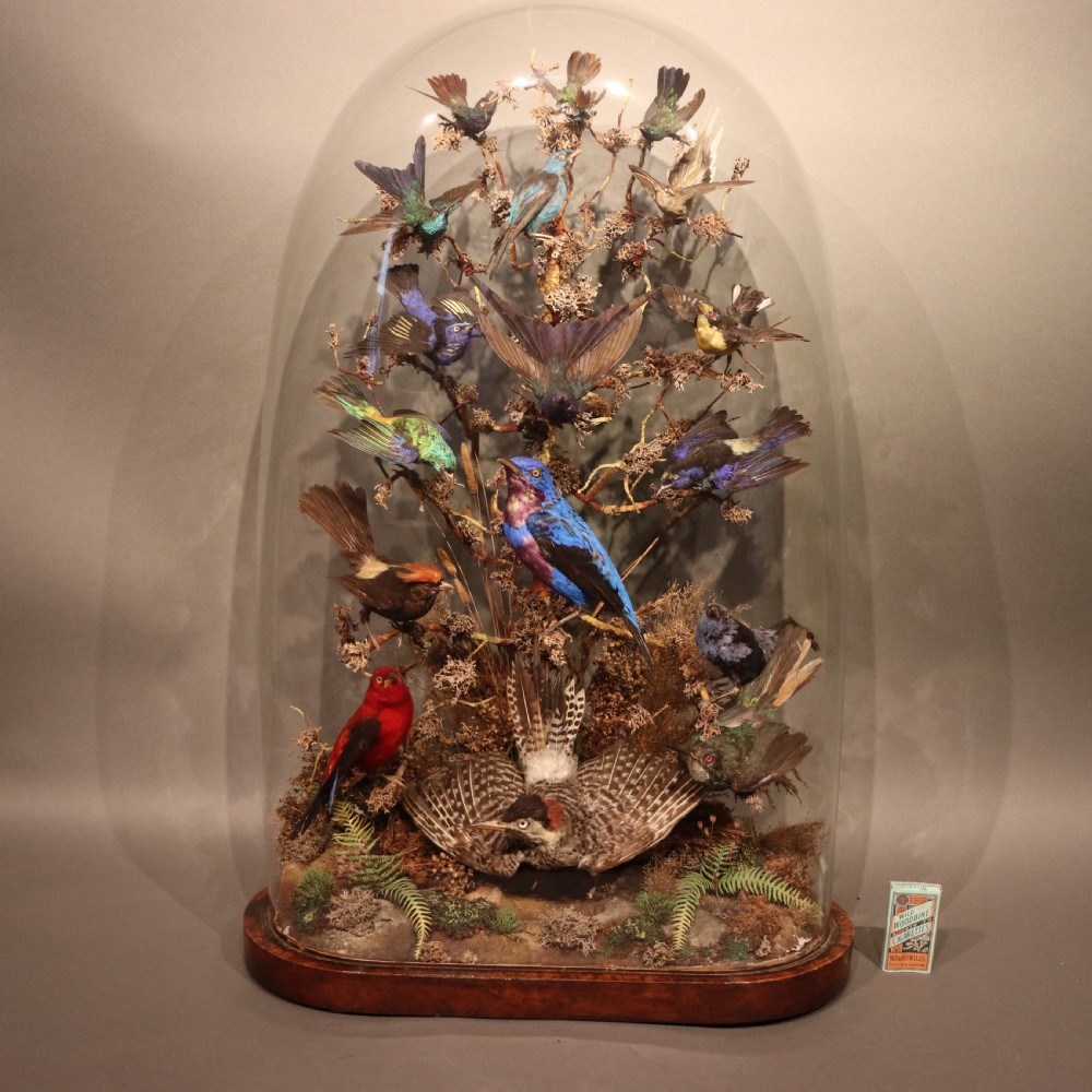 Large Victorian Dome of Taxidermy