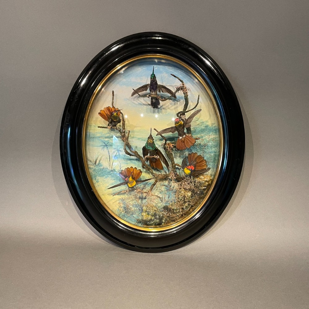 Victorian Taxidermy Wall Dome by James Gardner London Circa 1875
