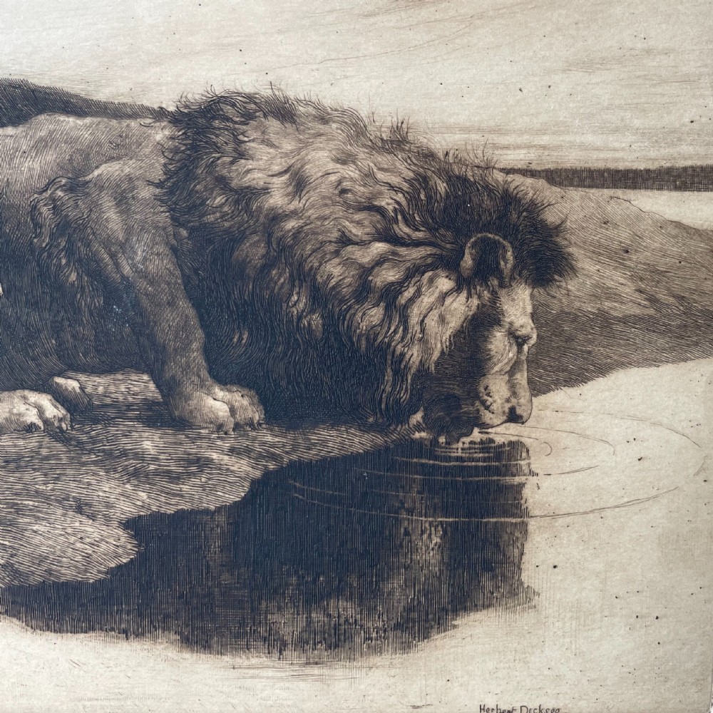Print by Herbert Thomas Dicksee (British 1862-1942) Lion Drinking  View II