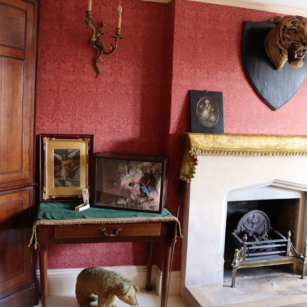 Taxidermy - Kingfisher & Eggs in Realistic River bank setting by Peter Spicer & Sons View VI