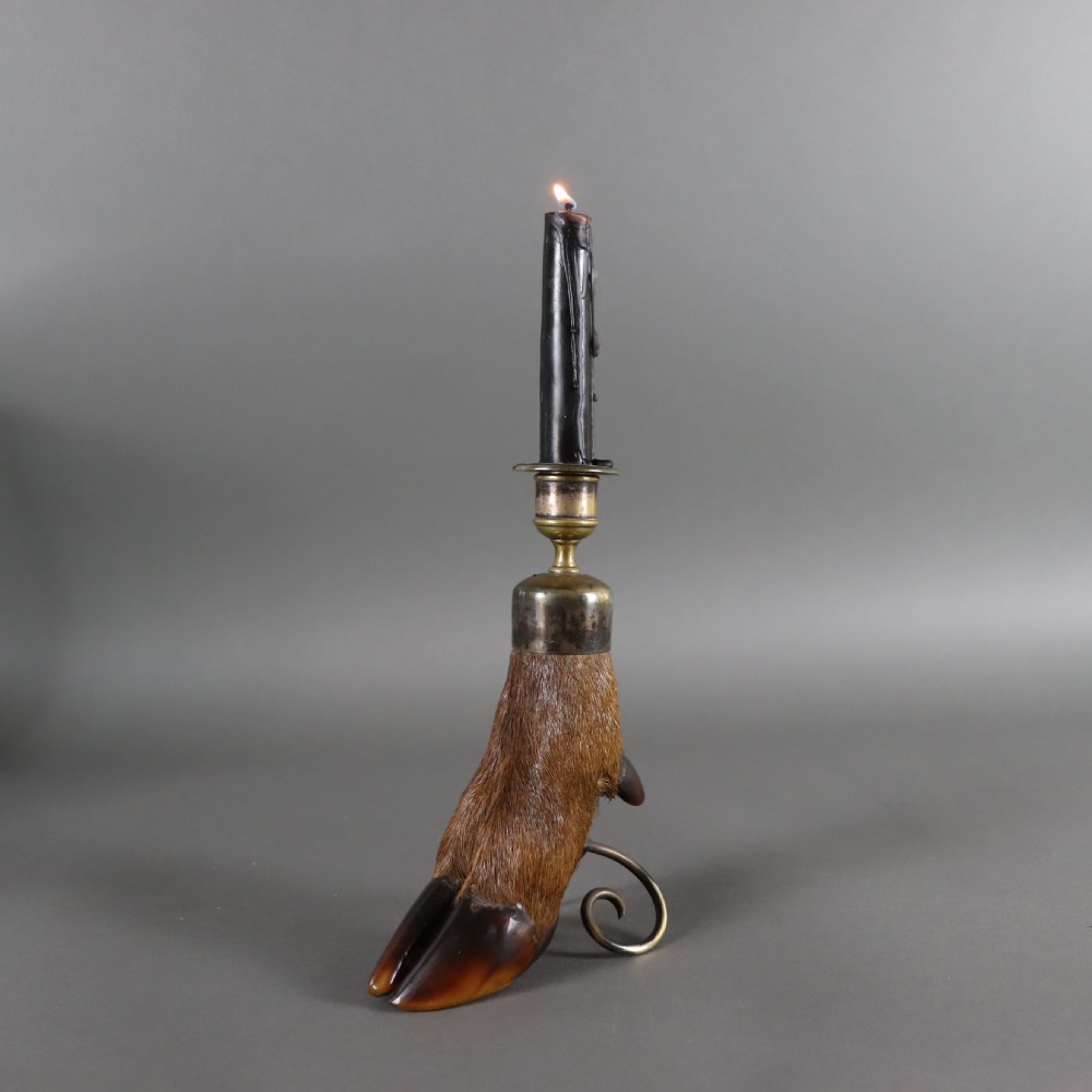 Taxidermy- Candlestick by Peter Spicer & Sons Circa 1910