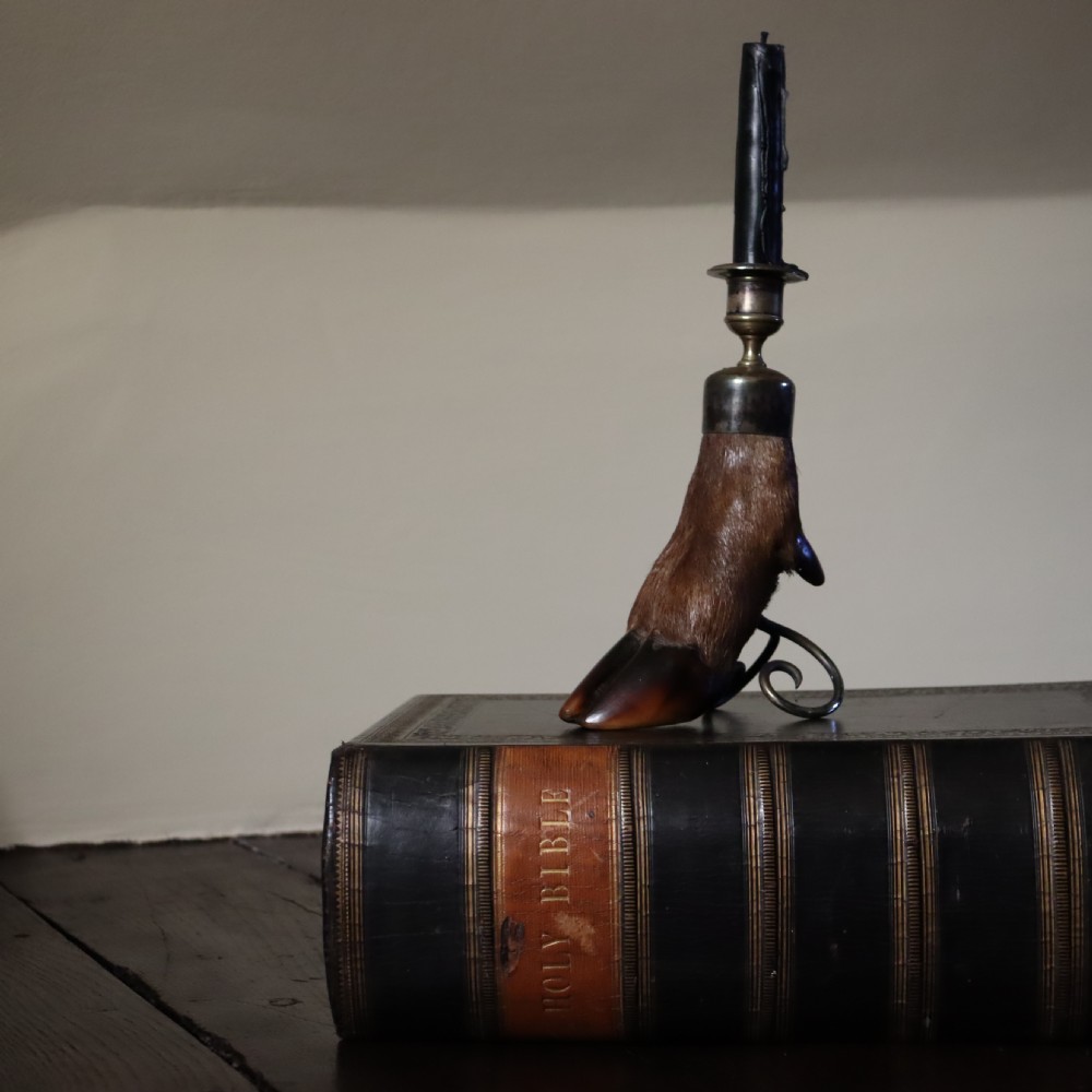 Taxidermy- Candlestick by Peter Spicer & Sons Circa 1910 View II