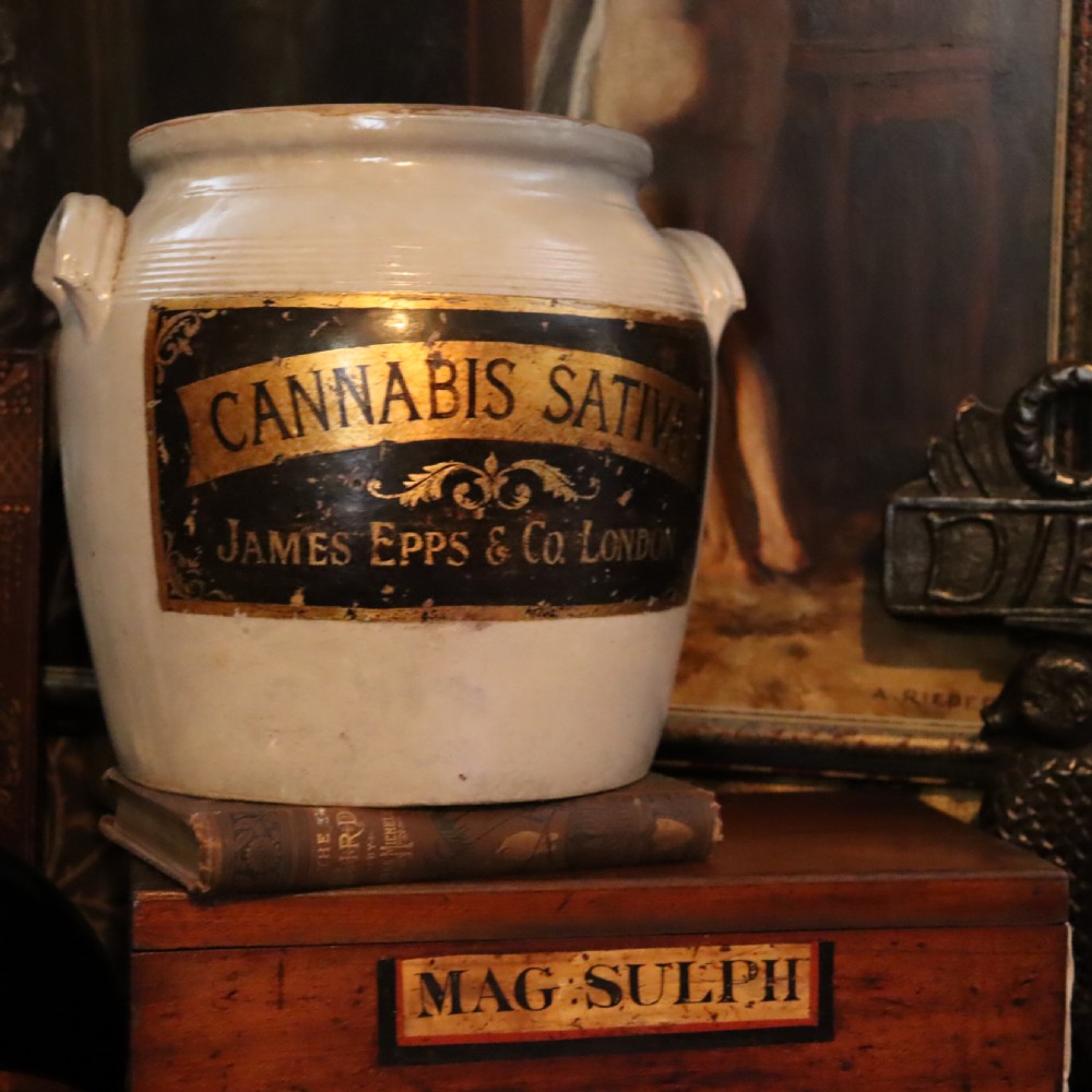 Apothecary pottery jar with gilt label 'Cannabis Sativa’ 