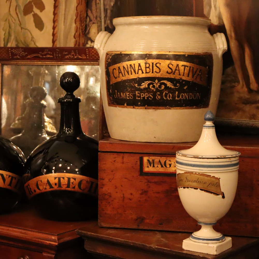 Apothecary pottery jar with gilt label 'Cannabis Sativa’  View III