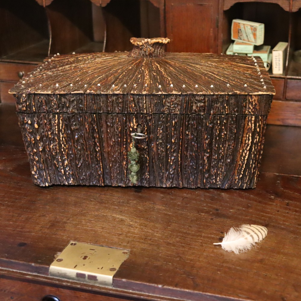 Stag Antler box of large proportions 