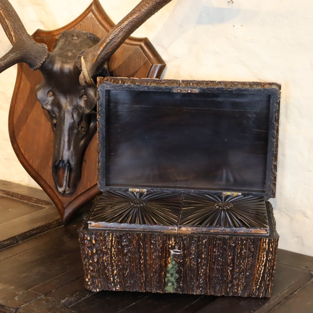 Stag Antler box of large proportions  View III