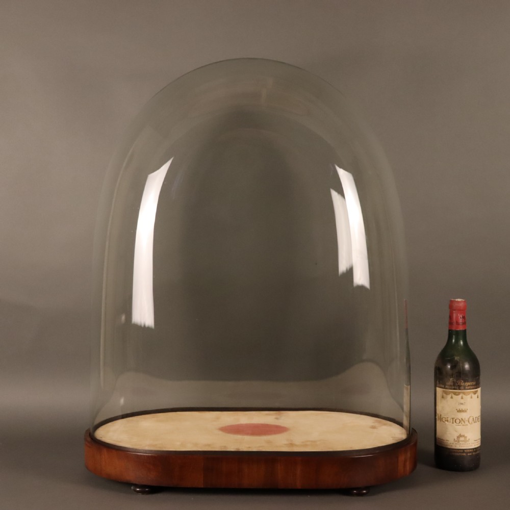 Taxidermy - Large Victorian glass dome View III