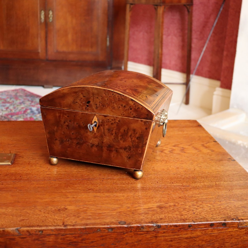 A Regency Burr Yew Wood Box 