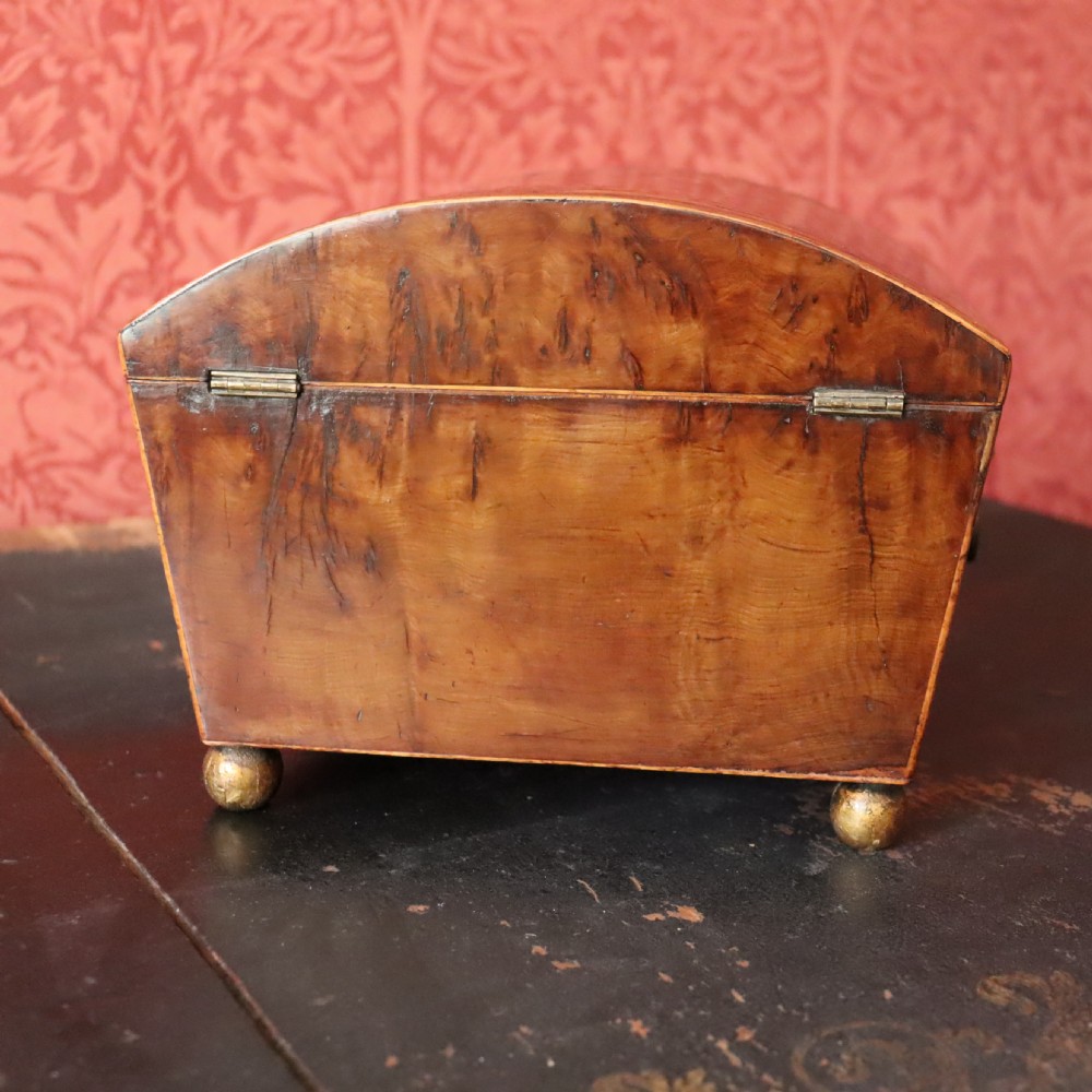 A Regency Burr Yew Wood Box  View V