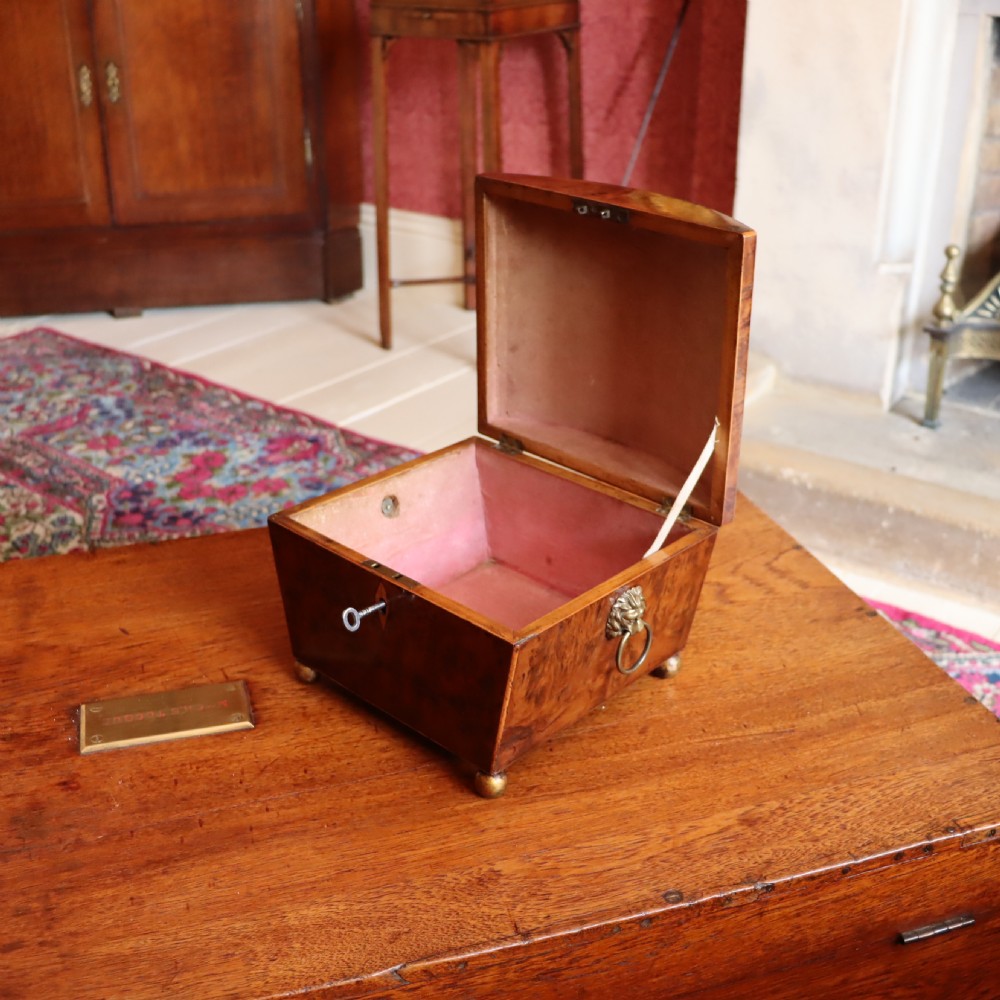 A Regency Burr Yew Wood Box  View VI