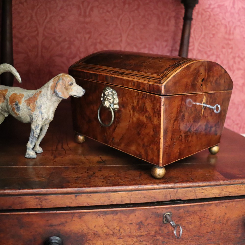 A Regency Burr Yew Wood Box  View VII