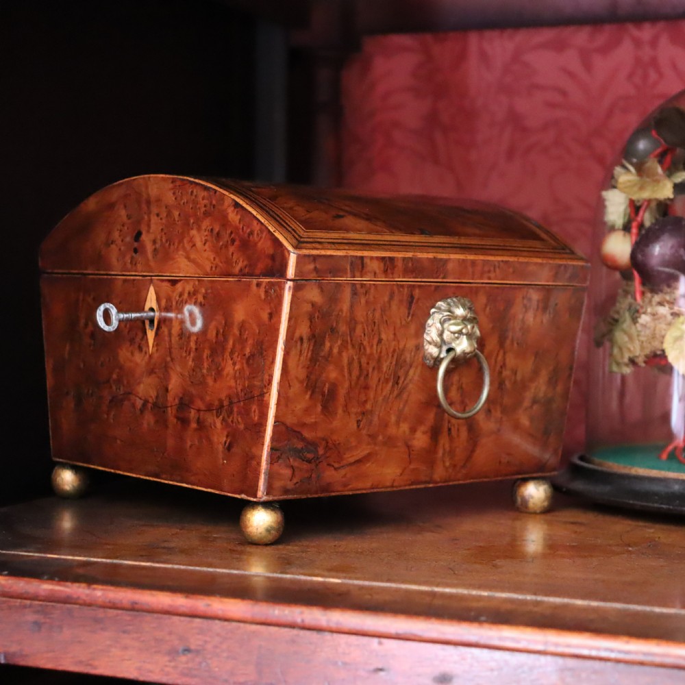 A Regency Burr Yew Wood Box  View VIII