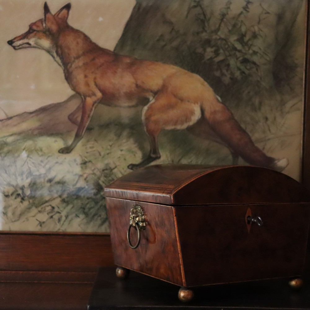 A Regency Burr Yew Wood Box  View IX