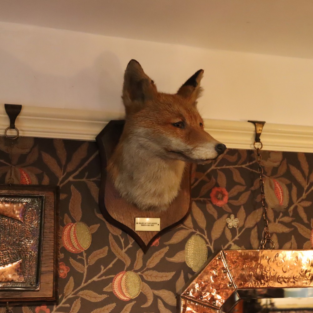 Taxidermy – Fox mask by Peter Spicer & Sons