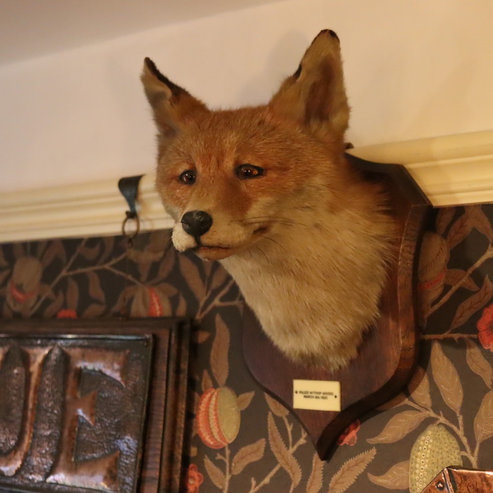 Taxidermy – Fox mask by Peter Spicer & Sons View II