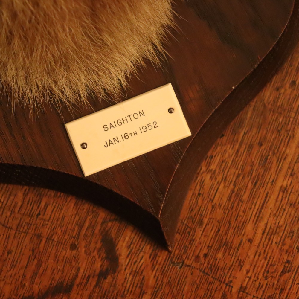An antique taxidermy fox head mounted on a dark wooden shield plaque with an inscribed white label. View III