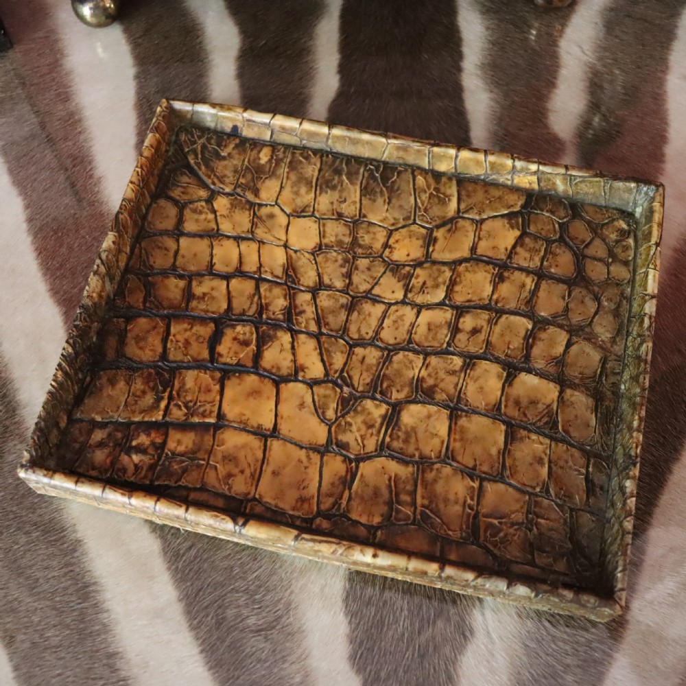 Taxidermy- Crocodile skin Desk Tidy by Rowland Ward of London. Circa 1920