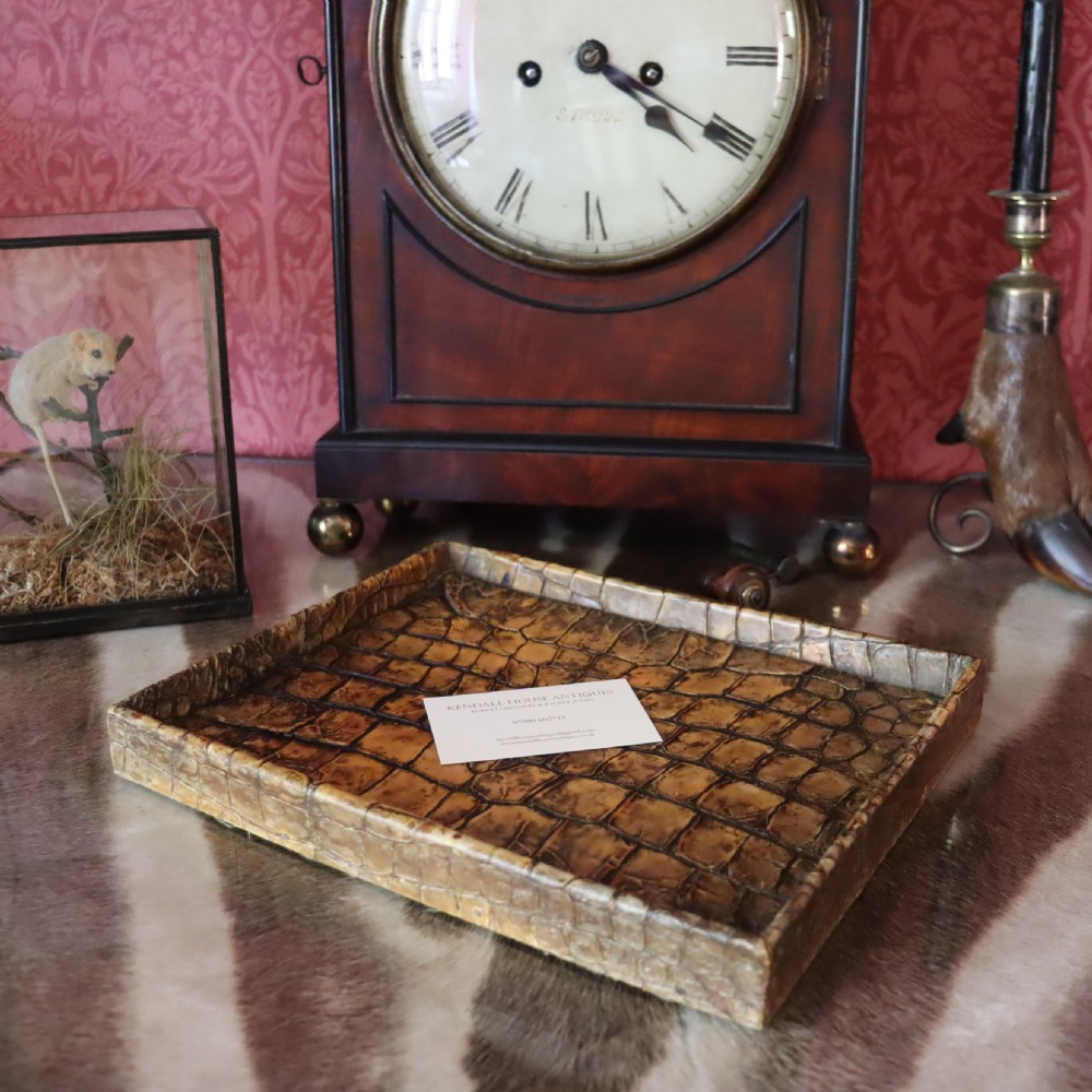 Taxidermy- Crocodile skin Desk Tidy by Rowland Ward of London. Circa 1920 View III