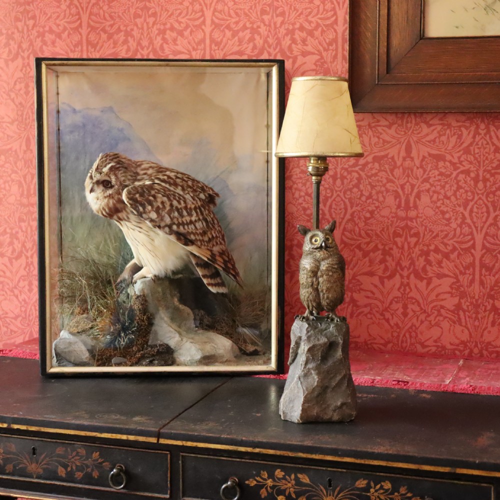 Austrian cold painted bronze – Long Eared Owl table lamp, by Bergman. Circa 1910 View X