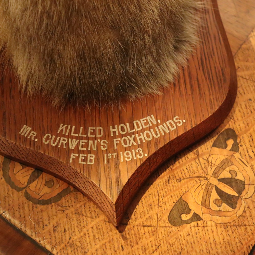 An Edwardian taxidermy fox mask with open mouth mounted on a wooden oak shield bearing white painted inscription text. View II