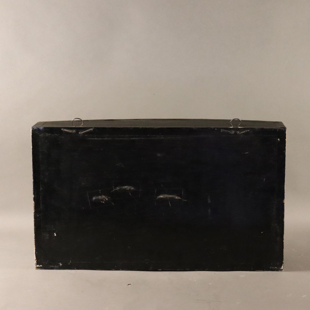 A bow-front ebonised glass case containing a preserved tench taxidermy fish set among aquatic reeds with a paper label in the top corner. View IV
